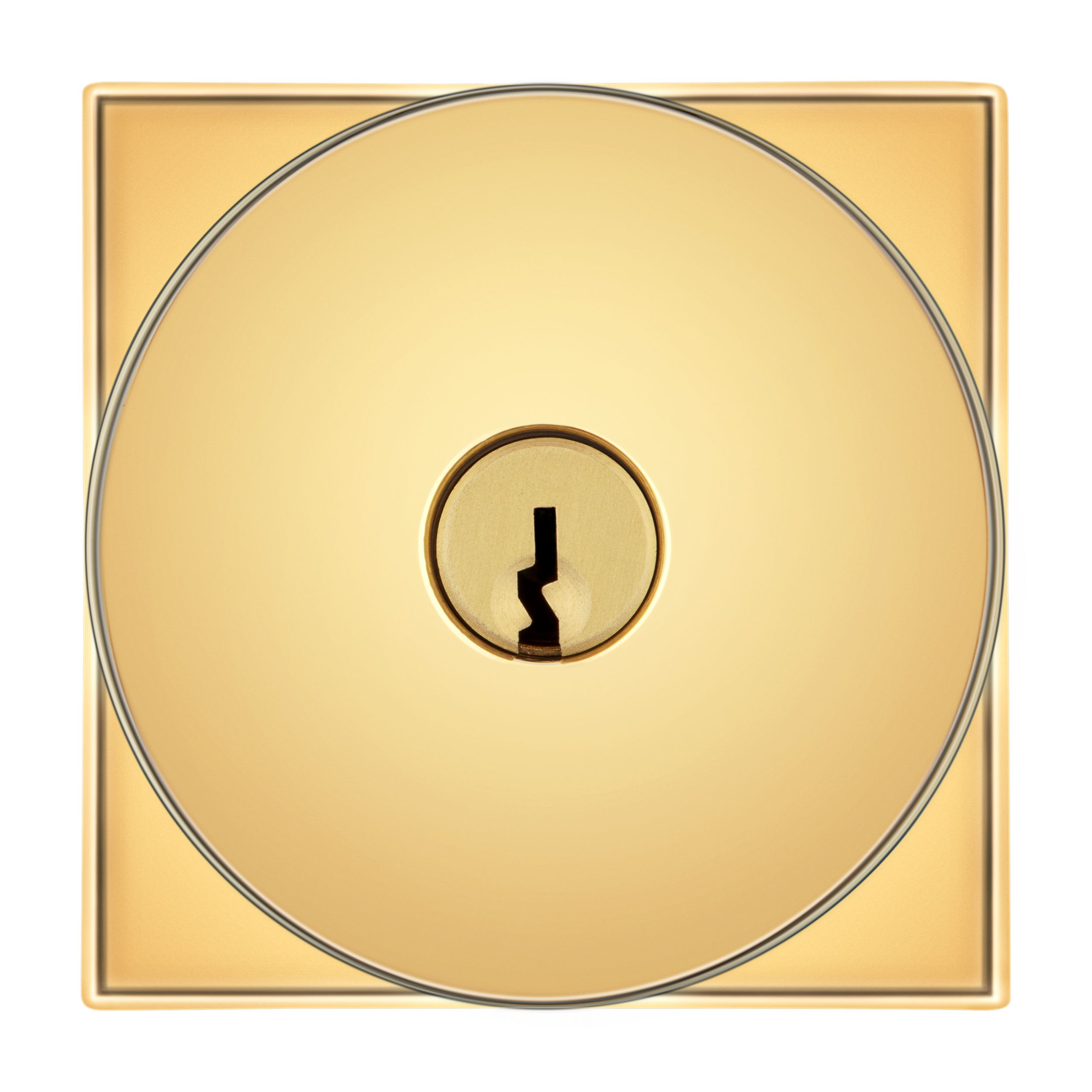 Clipped Image
