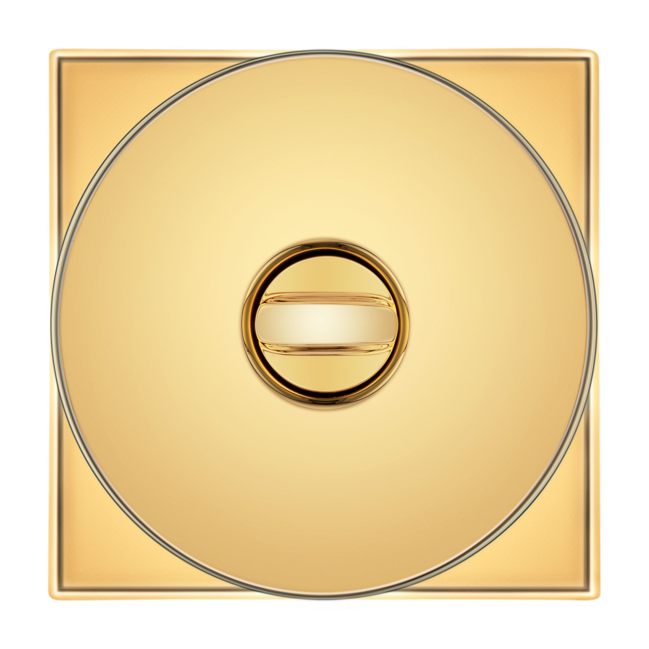 Clipped Image