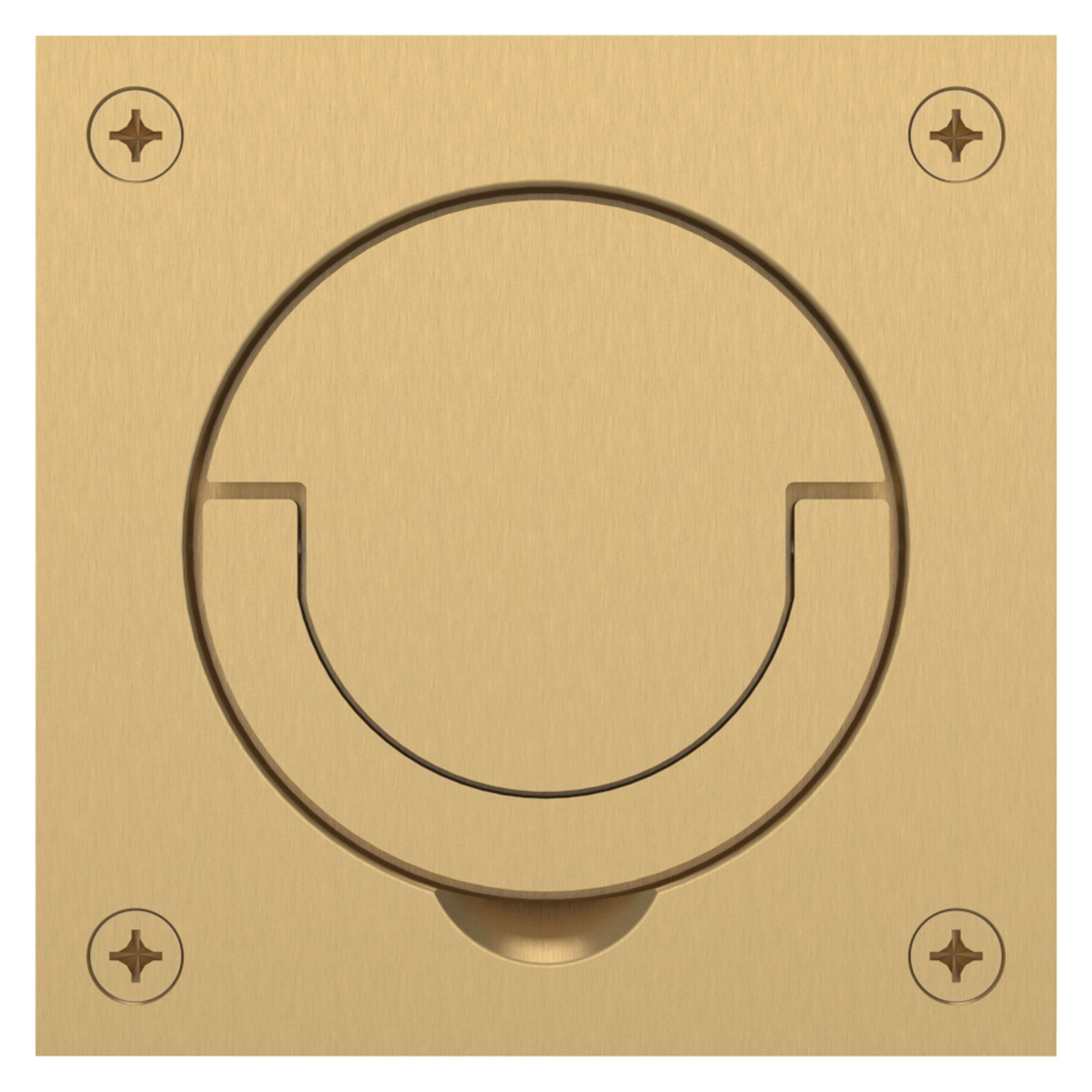 0397 SWL Flush Cup Handle & Ring Pull