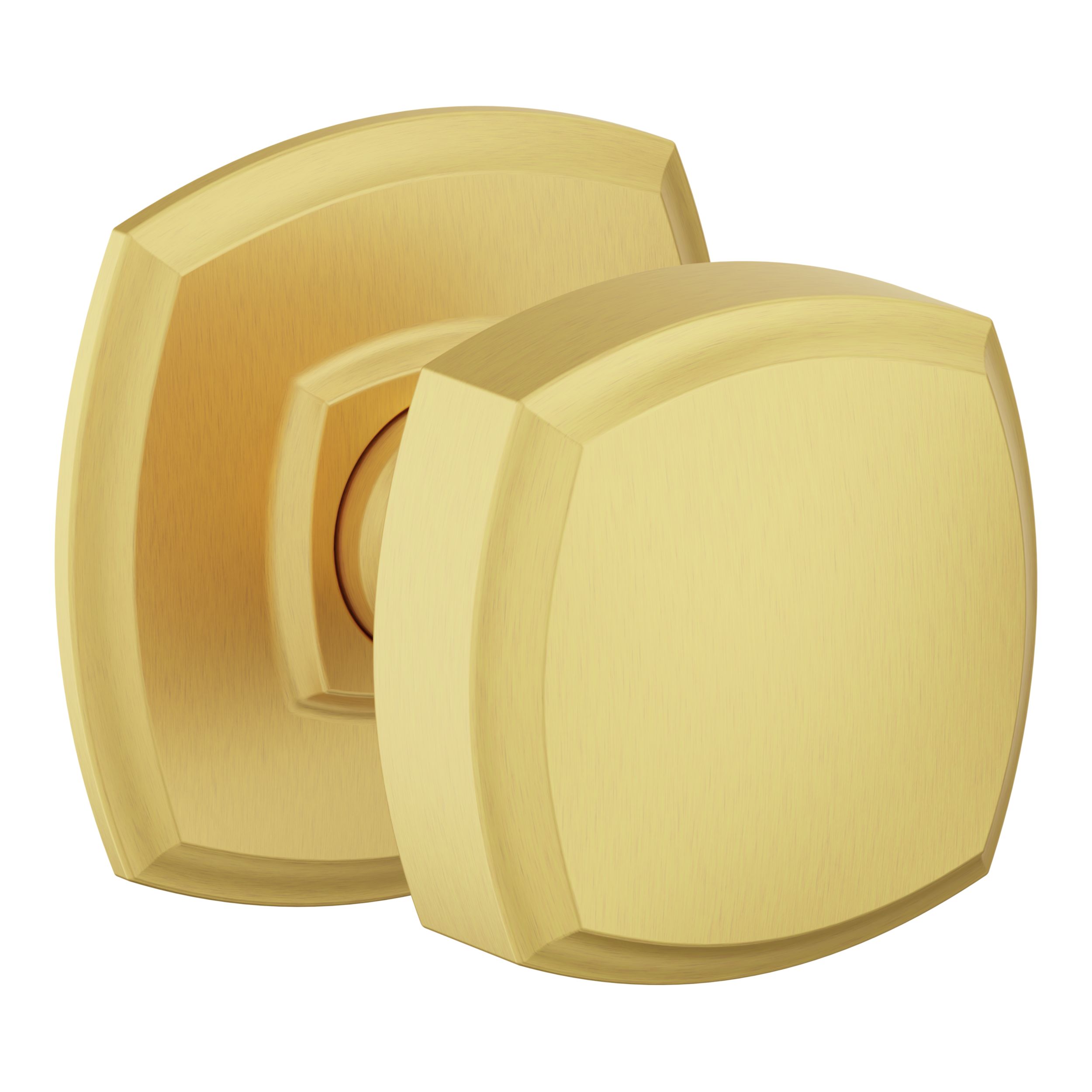 5011 Knob with 5058 Rose- Full Dummy