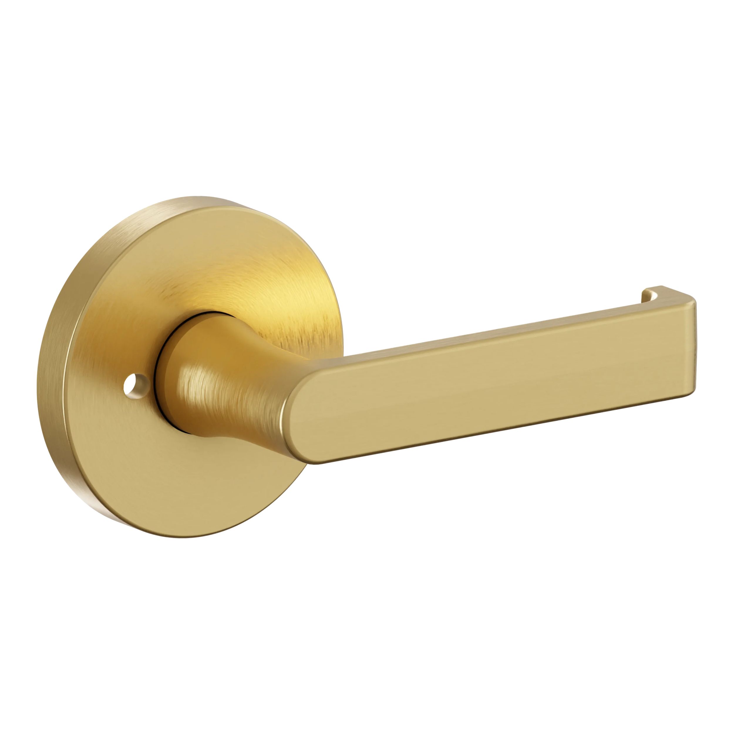 5105 Lever with 5046 Rose- Privacy