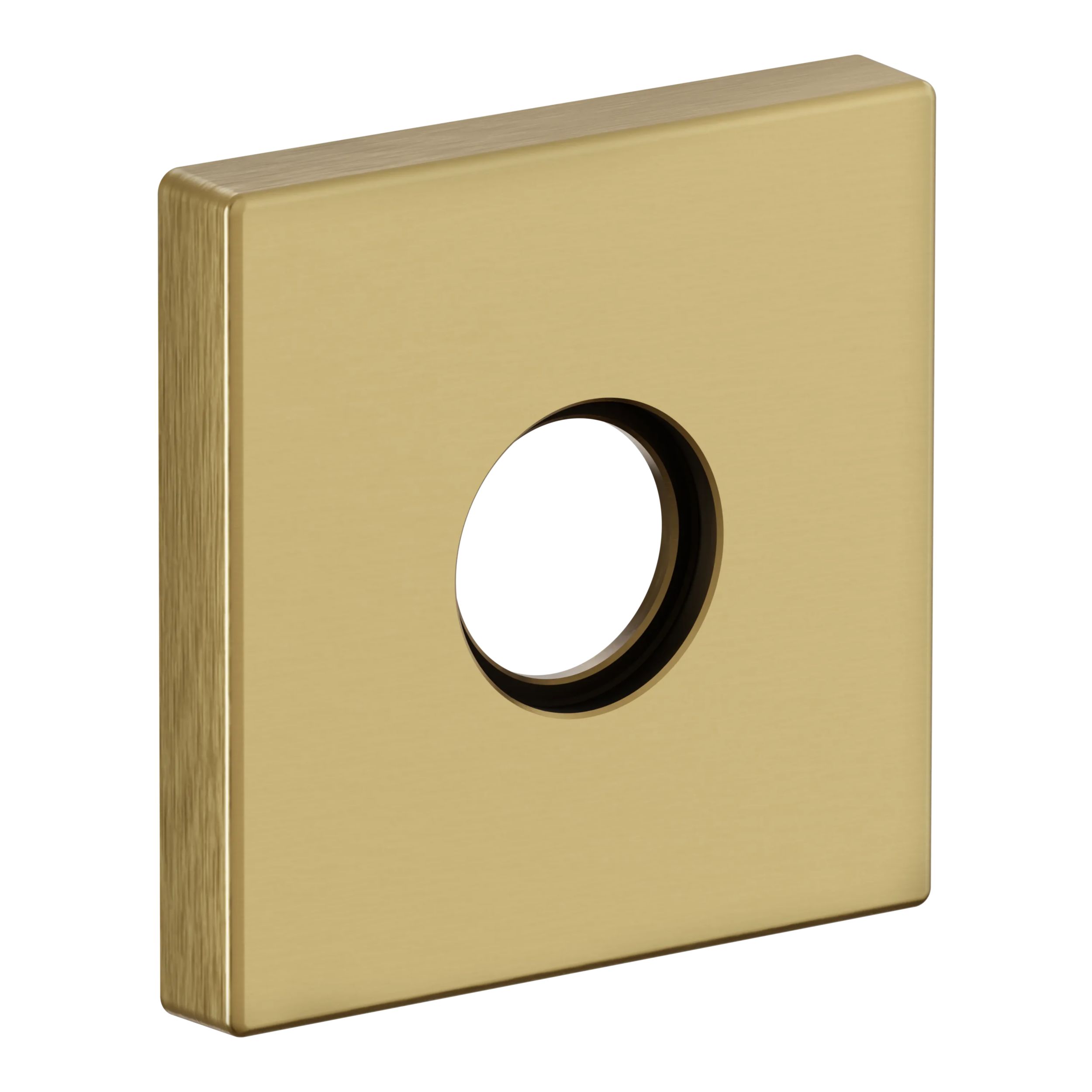 5162 Lever with R017 Rose- Full Dummy