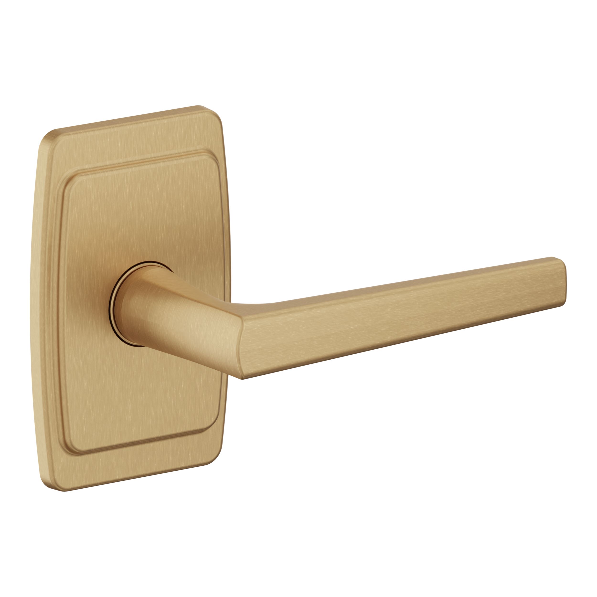 L024 Lever with R046 Rose- Full Dummy