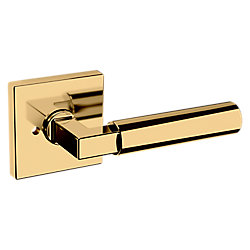 L029 Lever with R017 Rose- Privacy