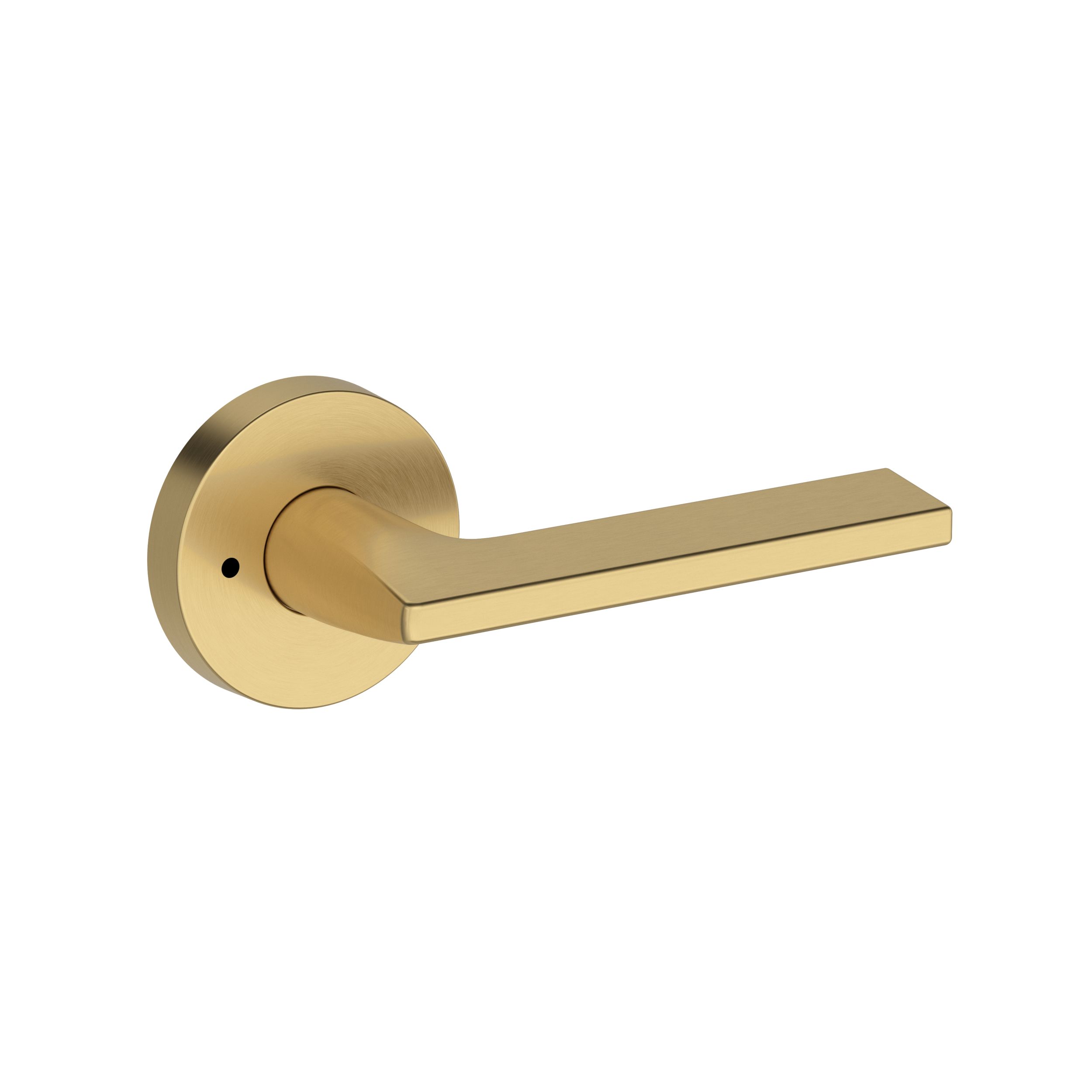 Anaheim Hills Lever with Contemporary Round Rose- Privacy