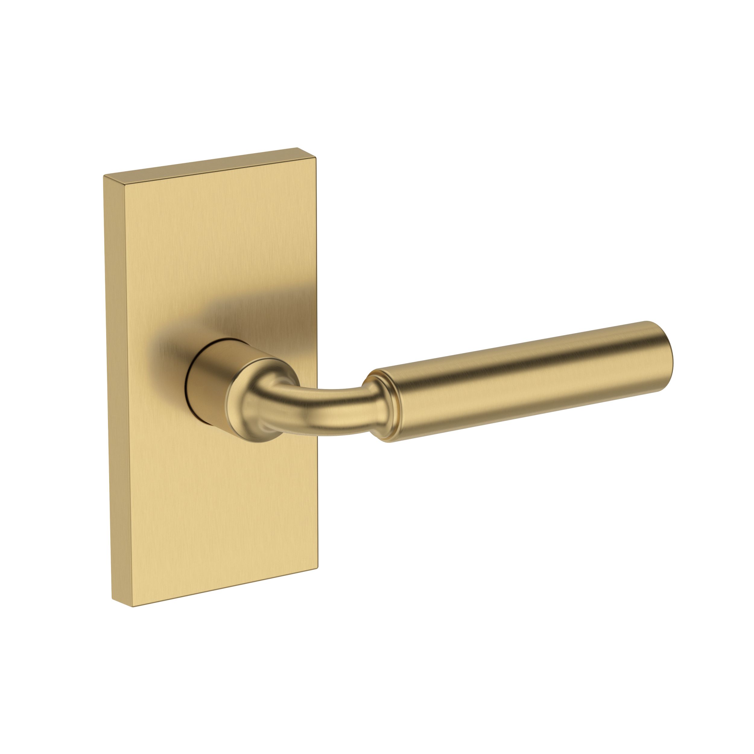 La Conner Lever with Contemporary 5" Rose- Full Dummy