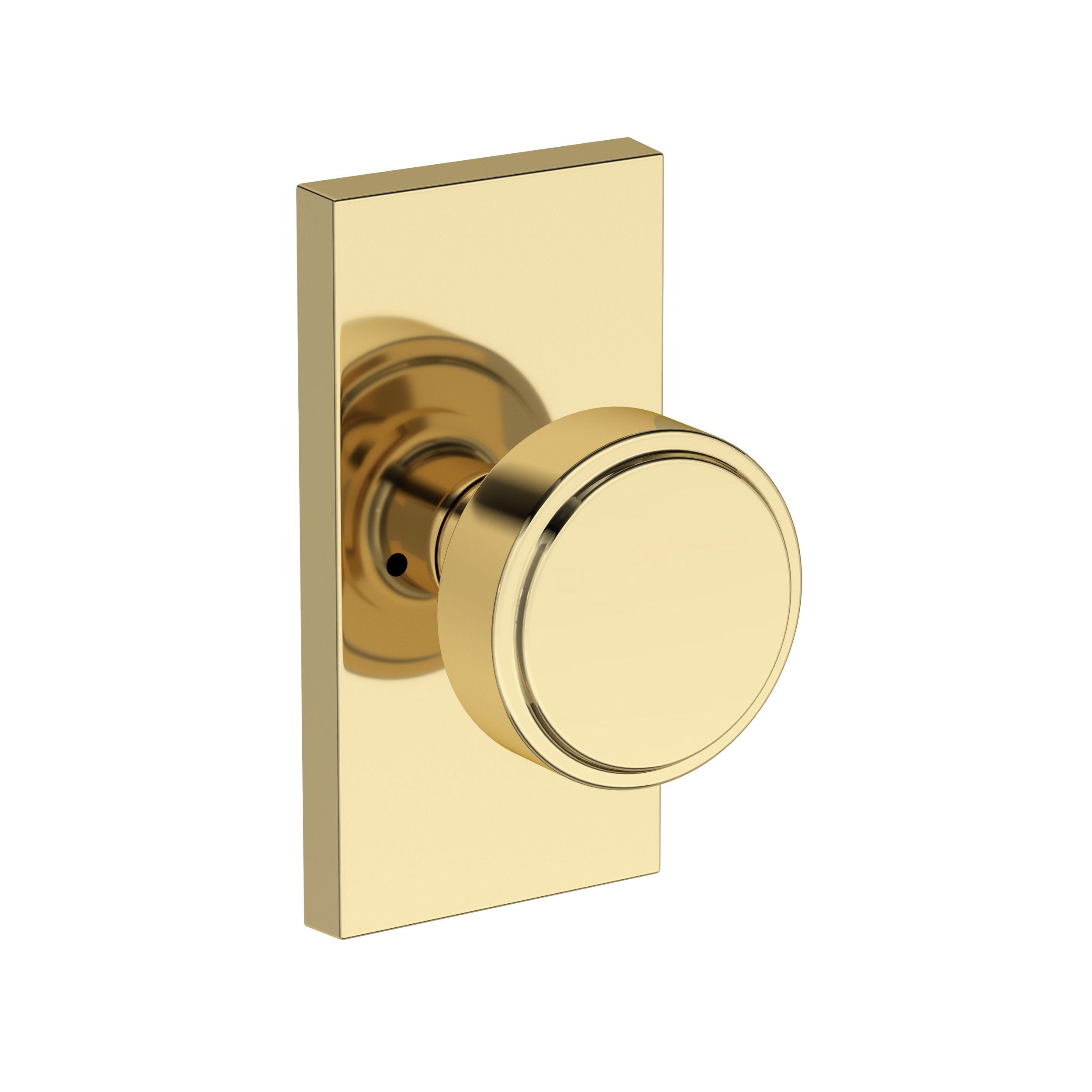 Vashon Lever with Contemporary 5" Rose- Privacy