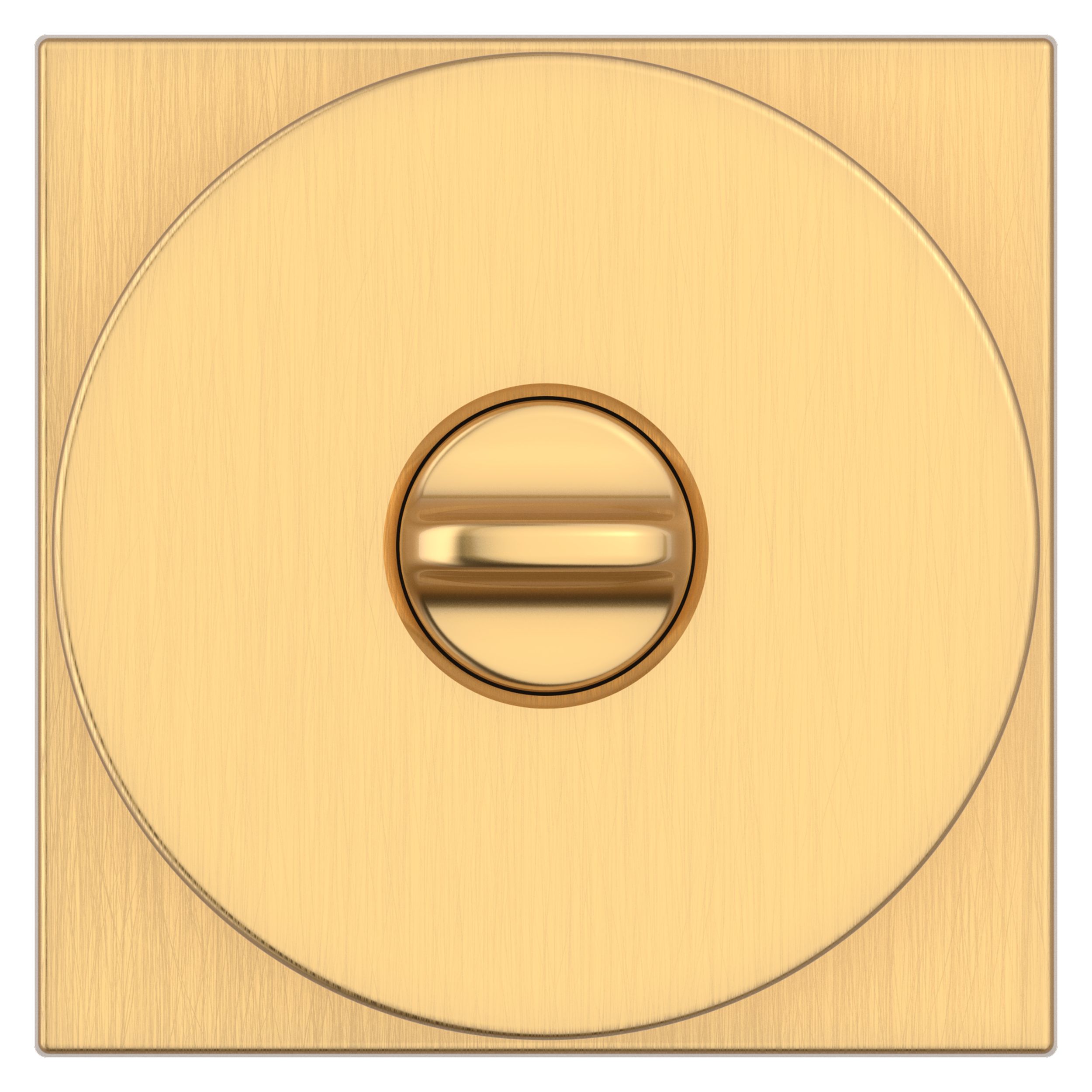 Clipped Image