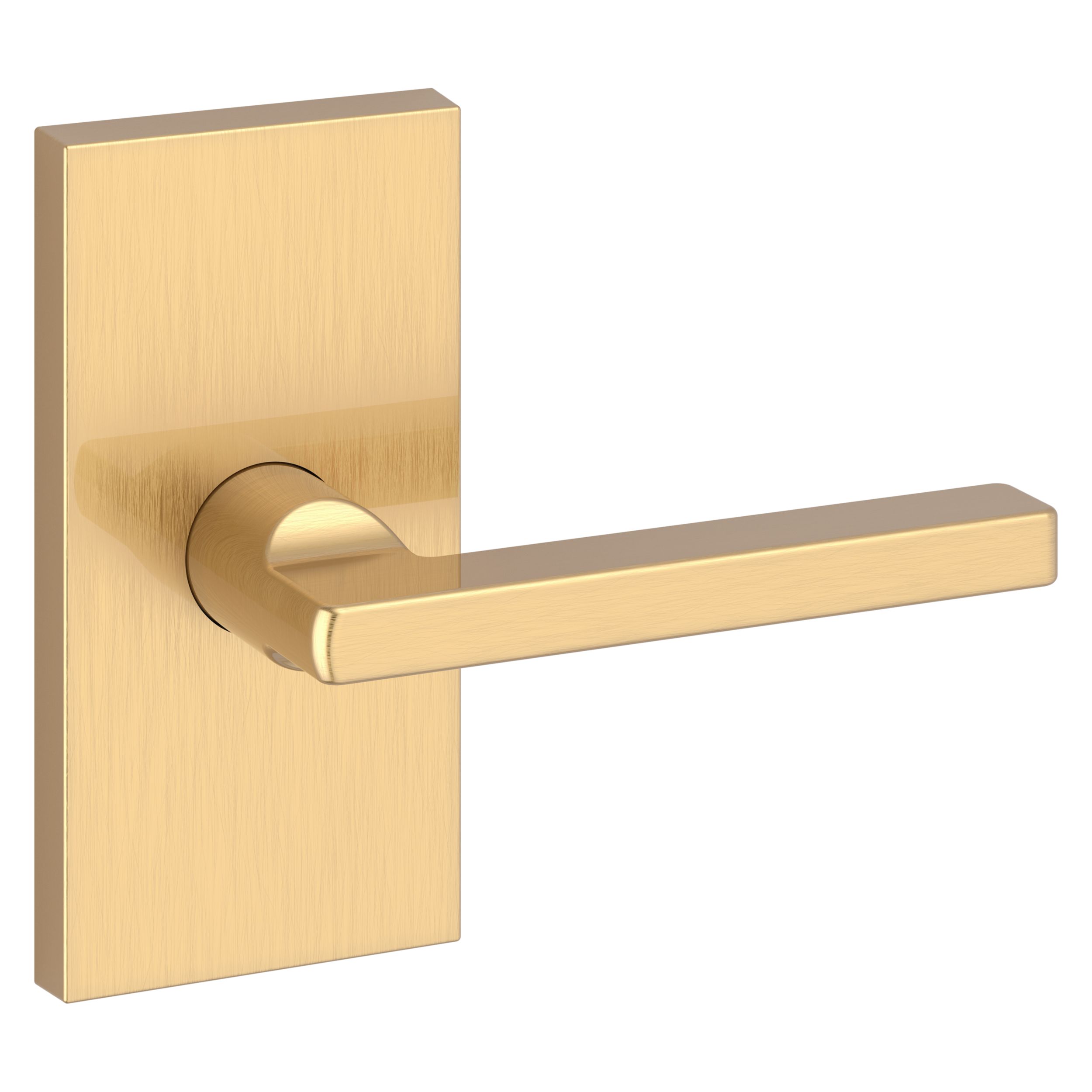 Square Lever & Contemporary 5" Rose- Passage