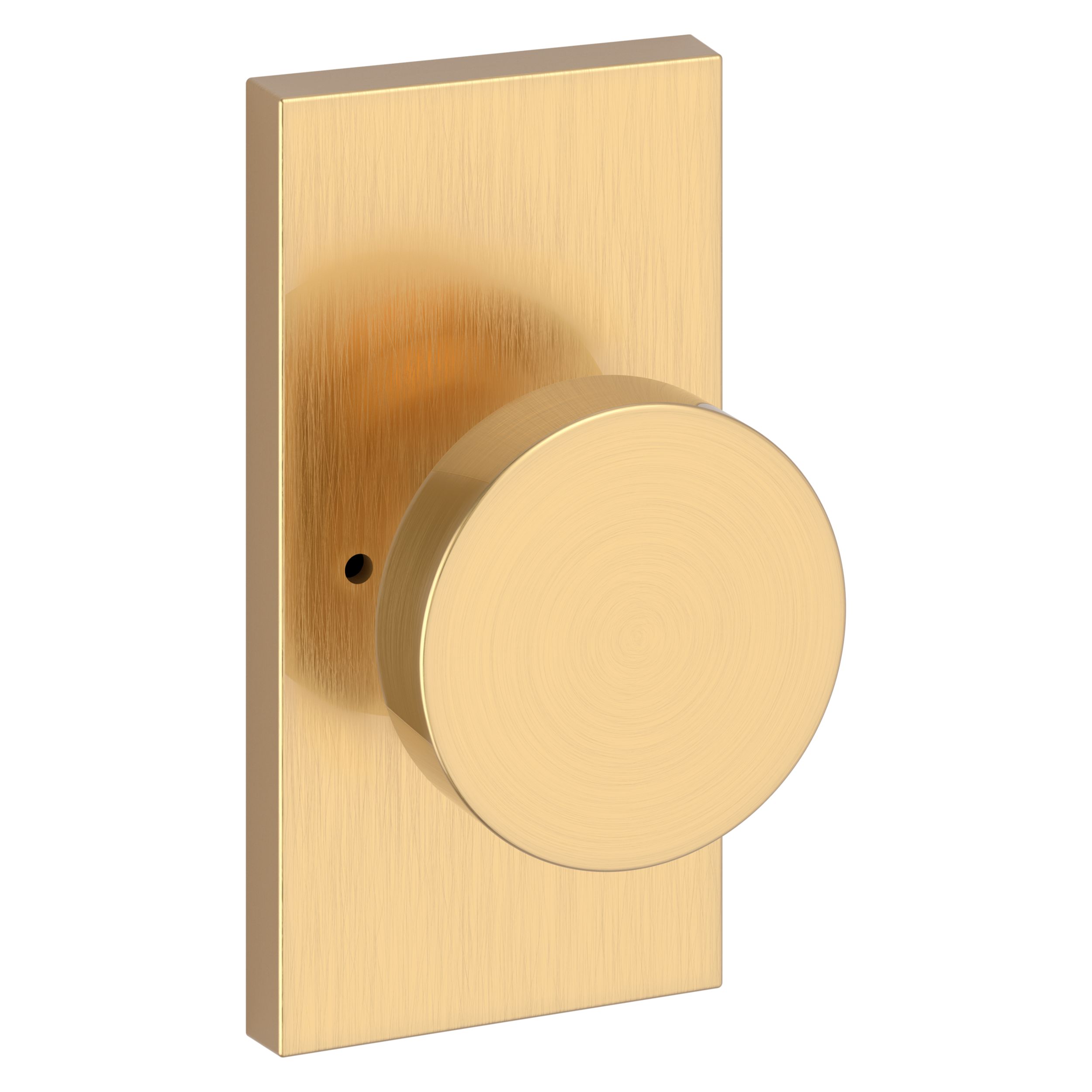 Contemporary Knob & 5" Rose- Privacy