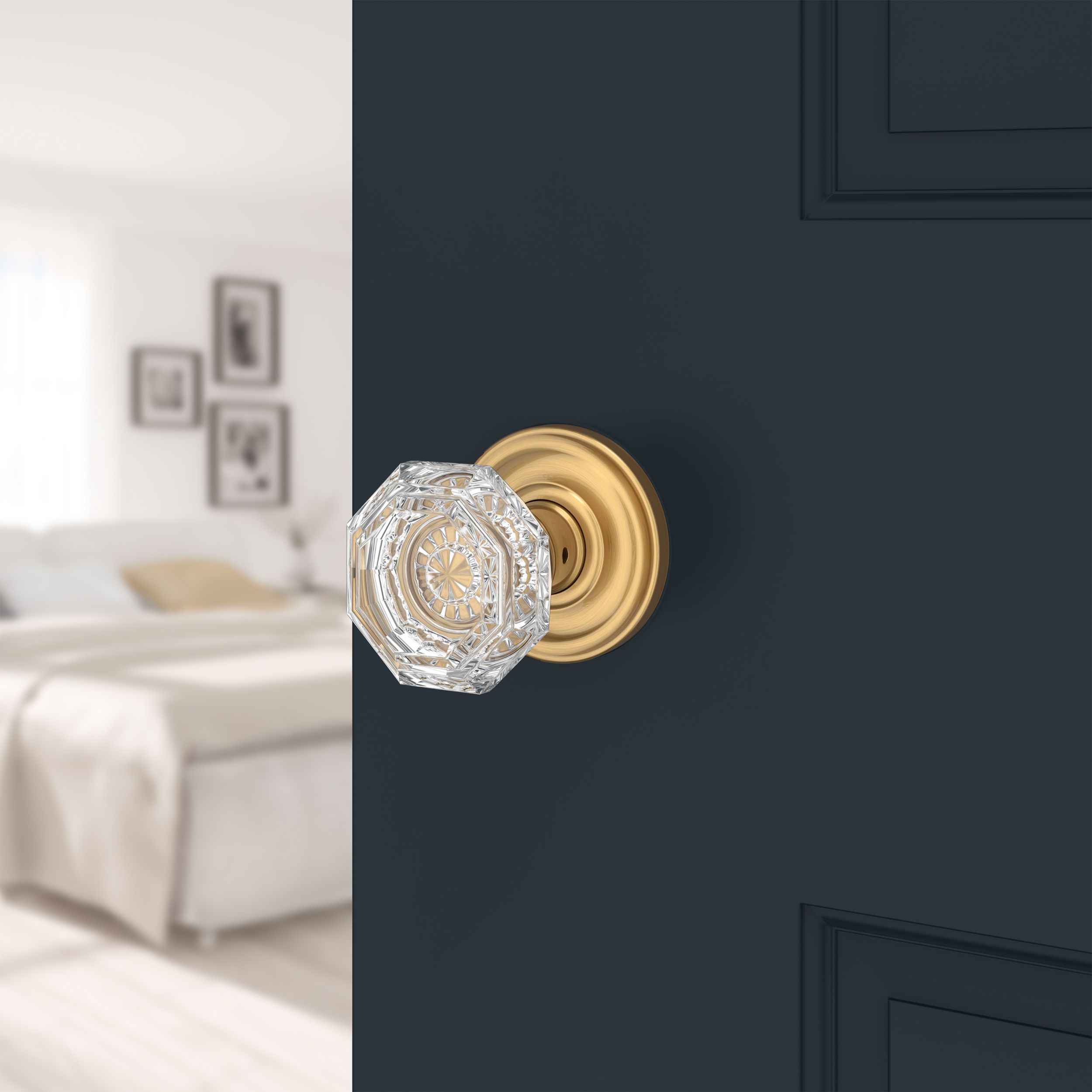 Crystal Knob & Traditional Round Rose- Privacy - Lifetime (PVD