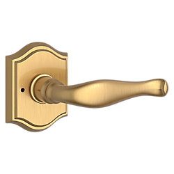 Decorative Lever & Traditional Arch Rose- Privacy