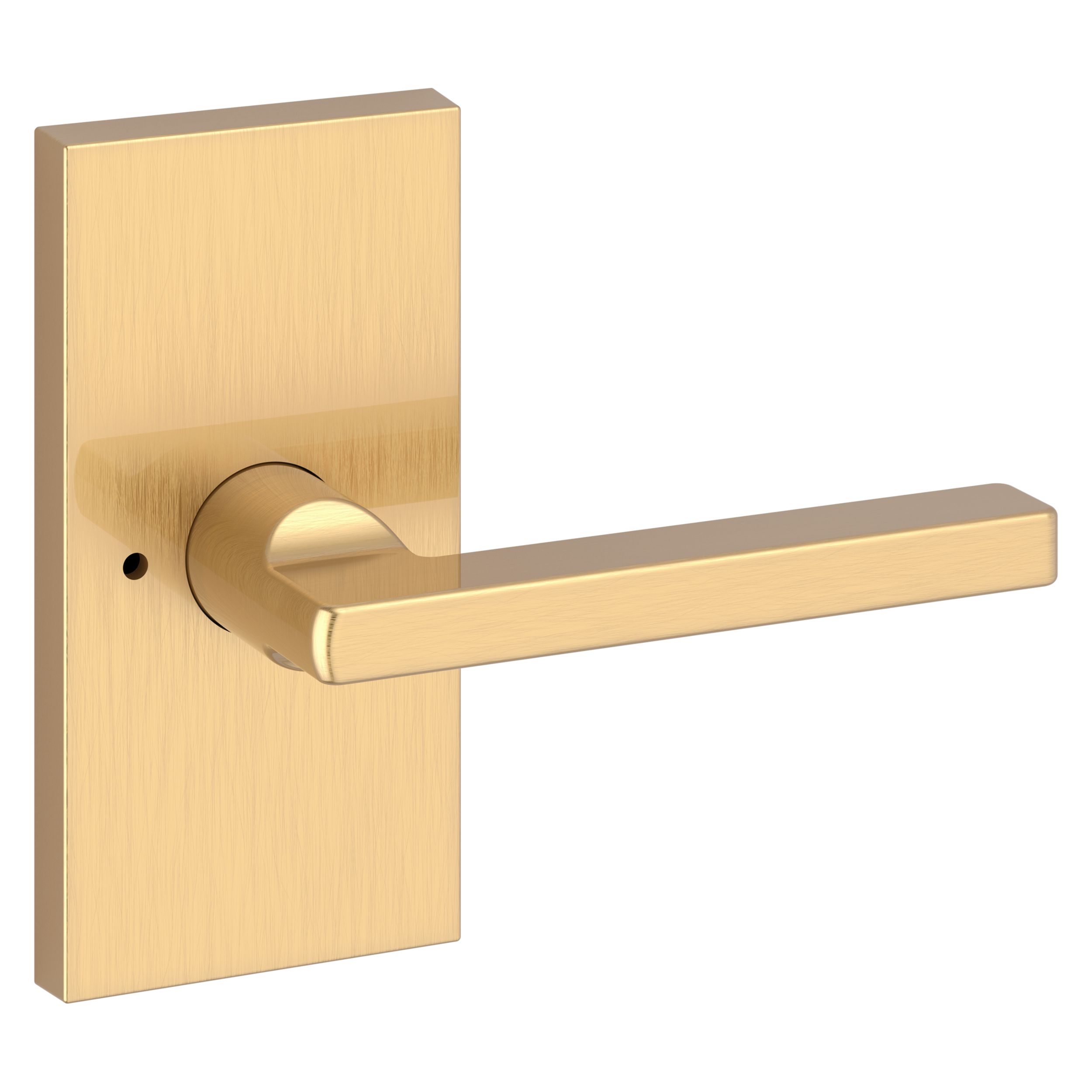 Square Lever & Contemporary 5" Rose- Privacy